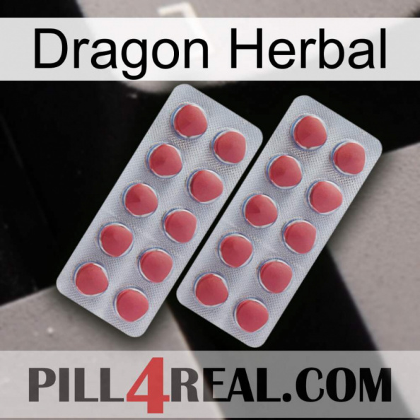 Dragon Herbal 19.jpg